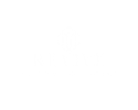Revive Custom Solutions
